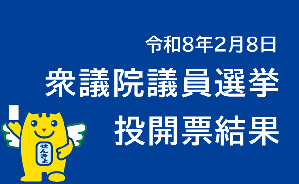 衆議院議員選挙投開票結果