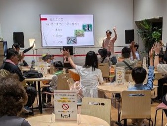 セミの羽化
