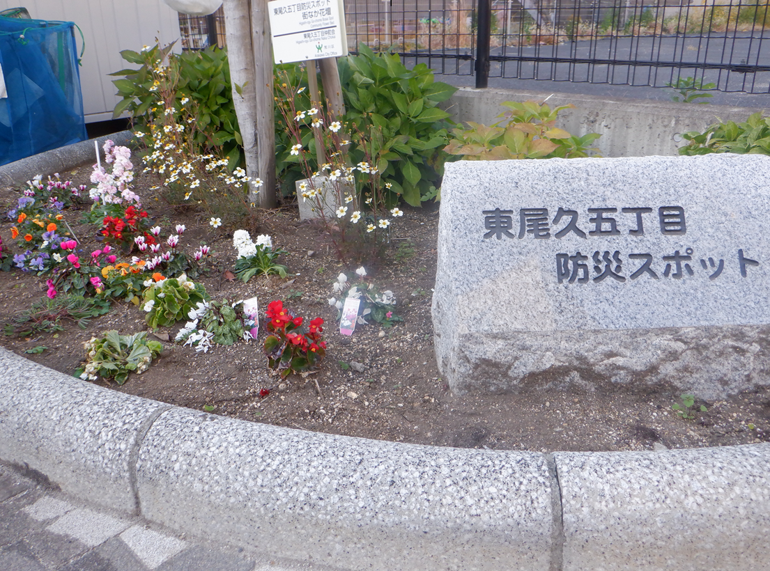 花壇の写真