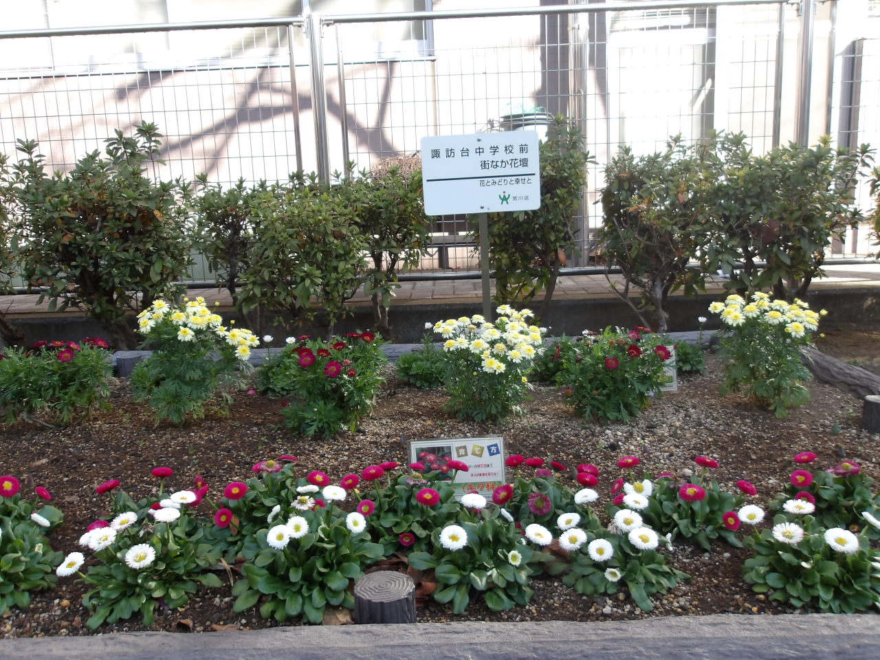 地植え花壇の写真