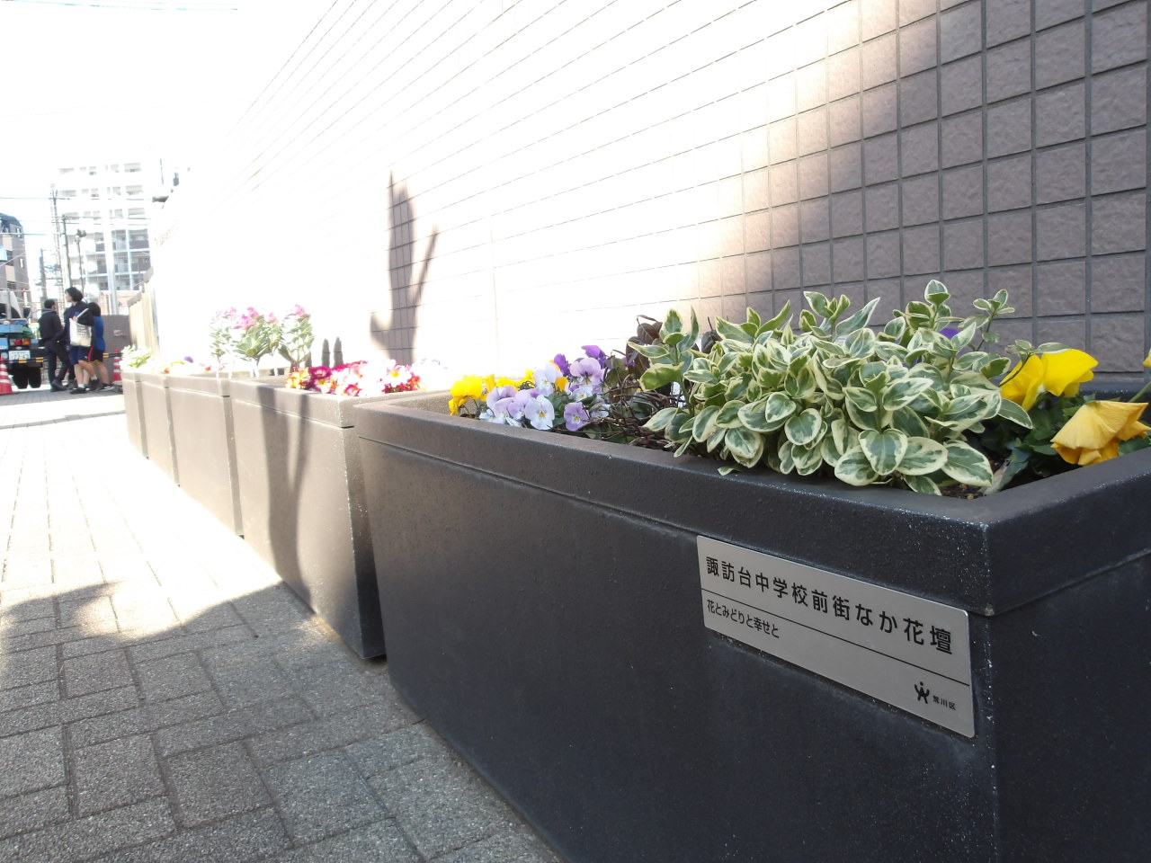 長方形花壇の写真