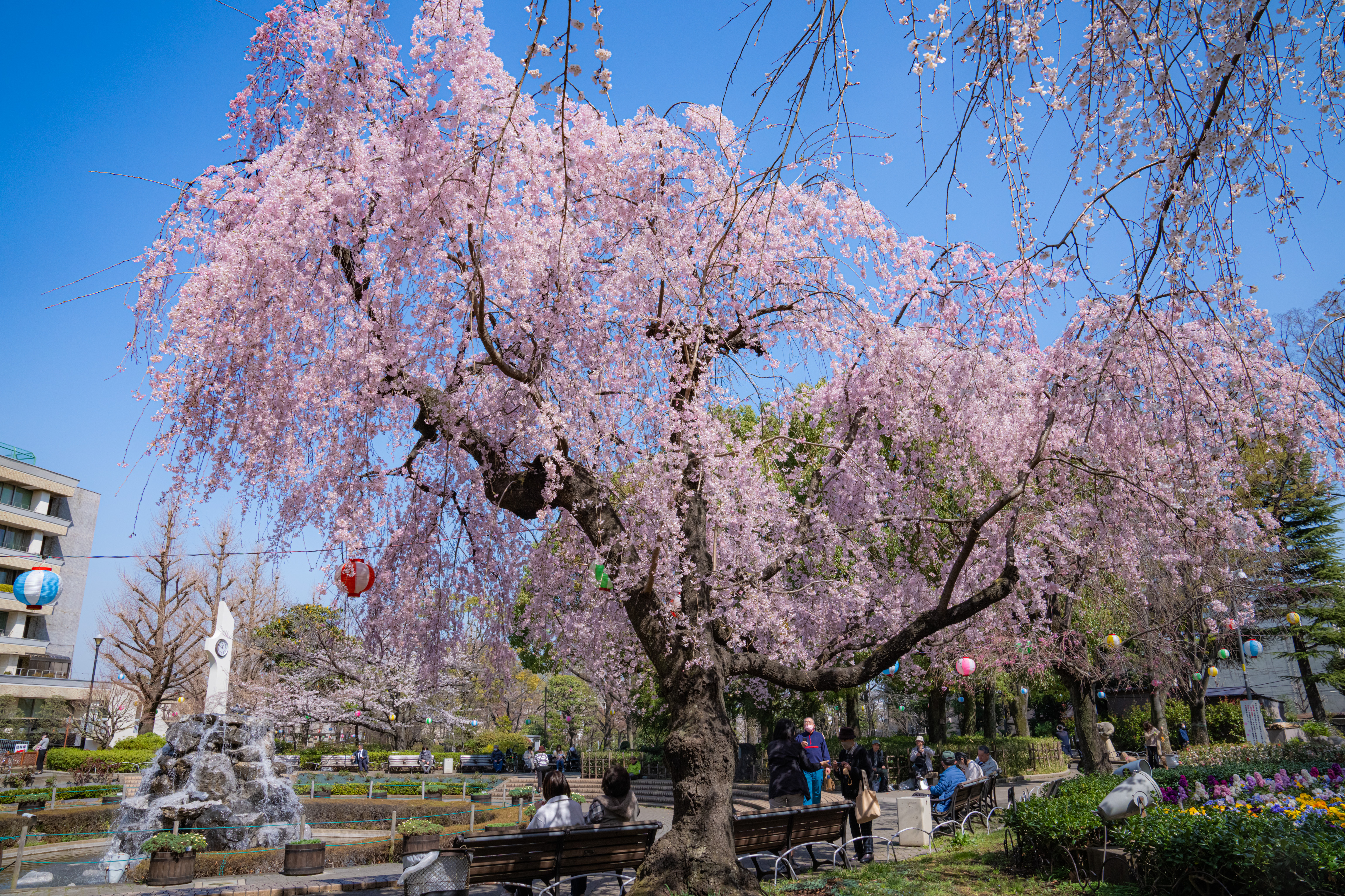 荒川公園