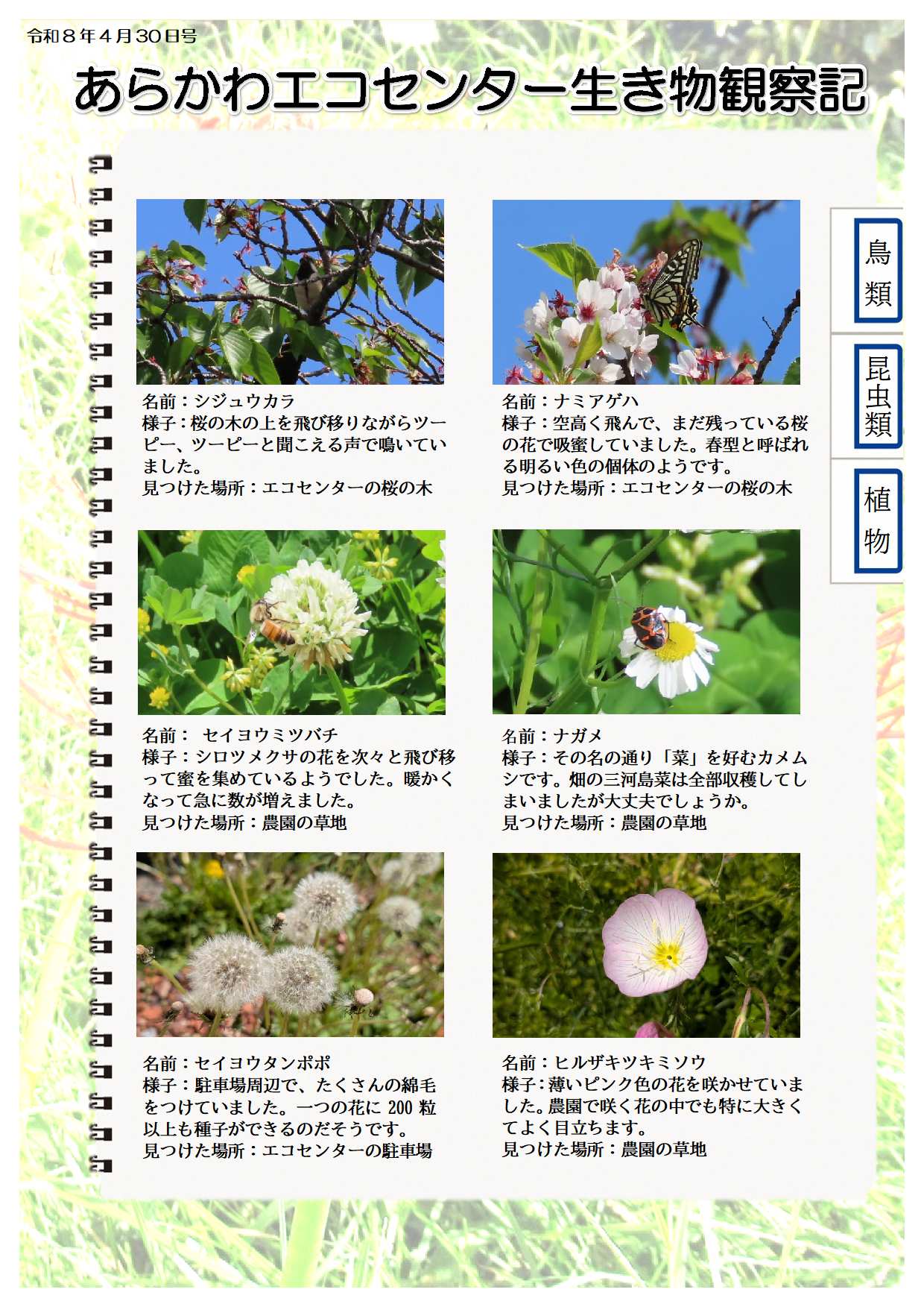 R080430ikimono2