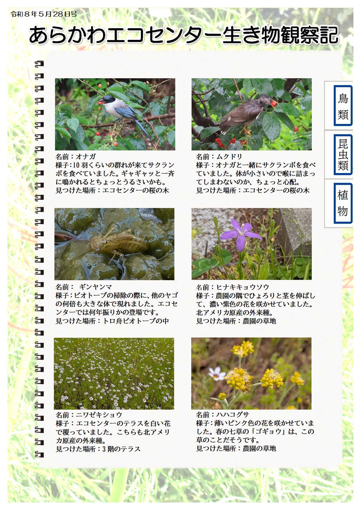 R080528ikimono