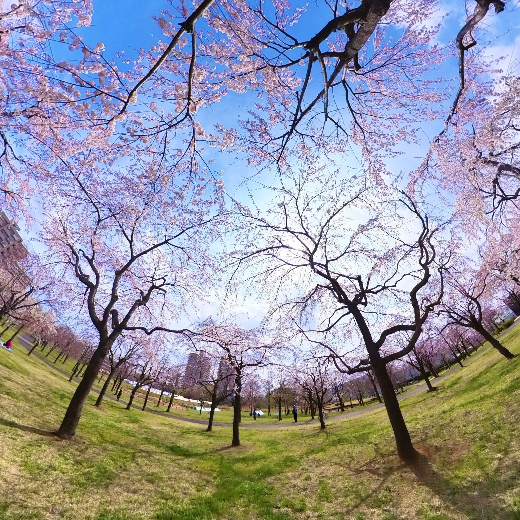 佳作（鵜飼さん）