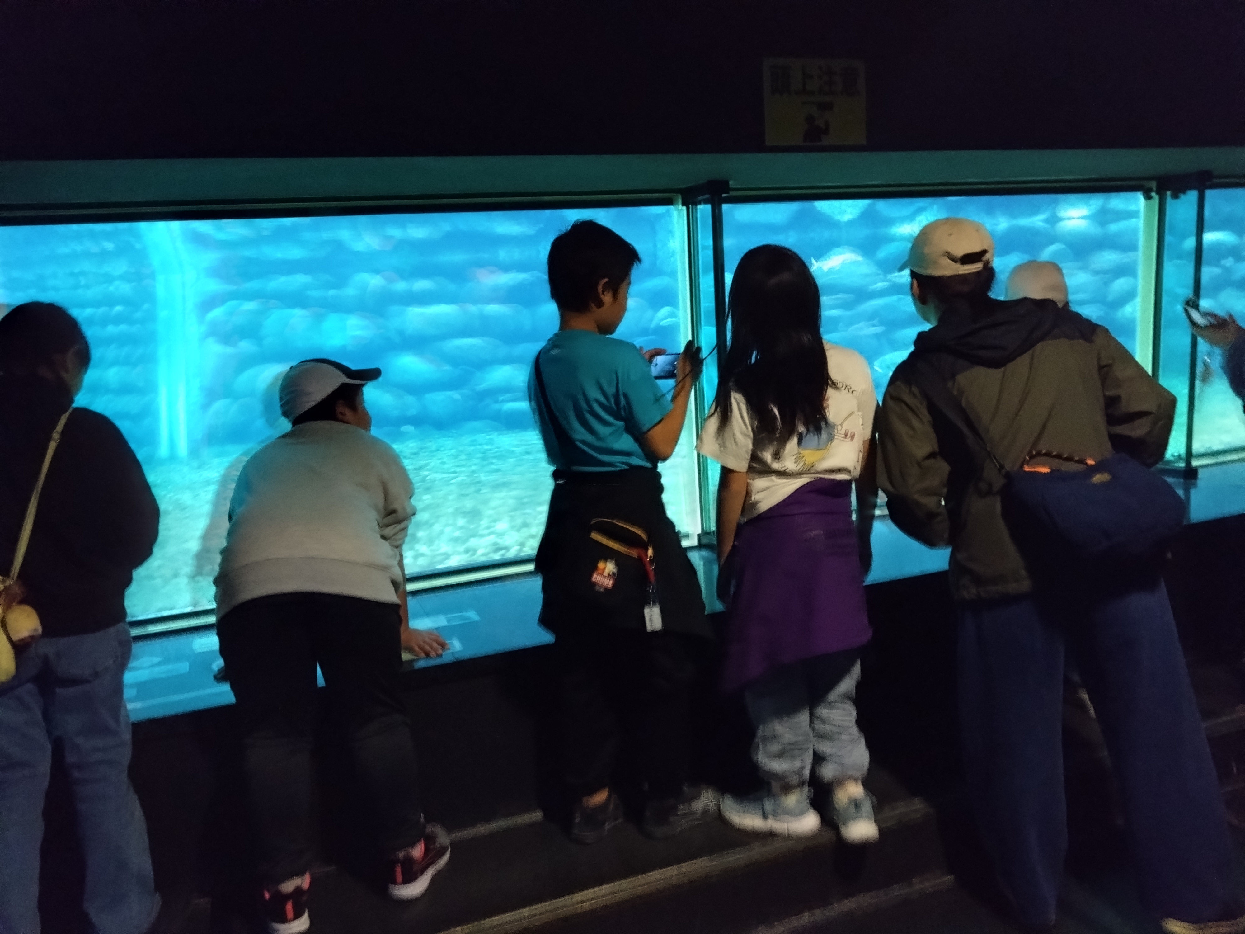 イヨボヤ会館写真