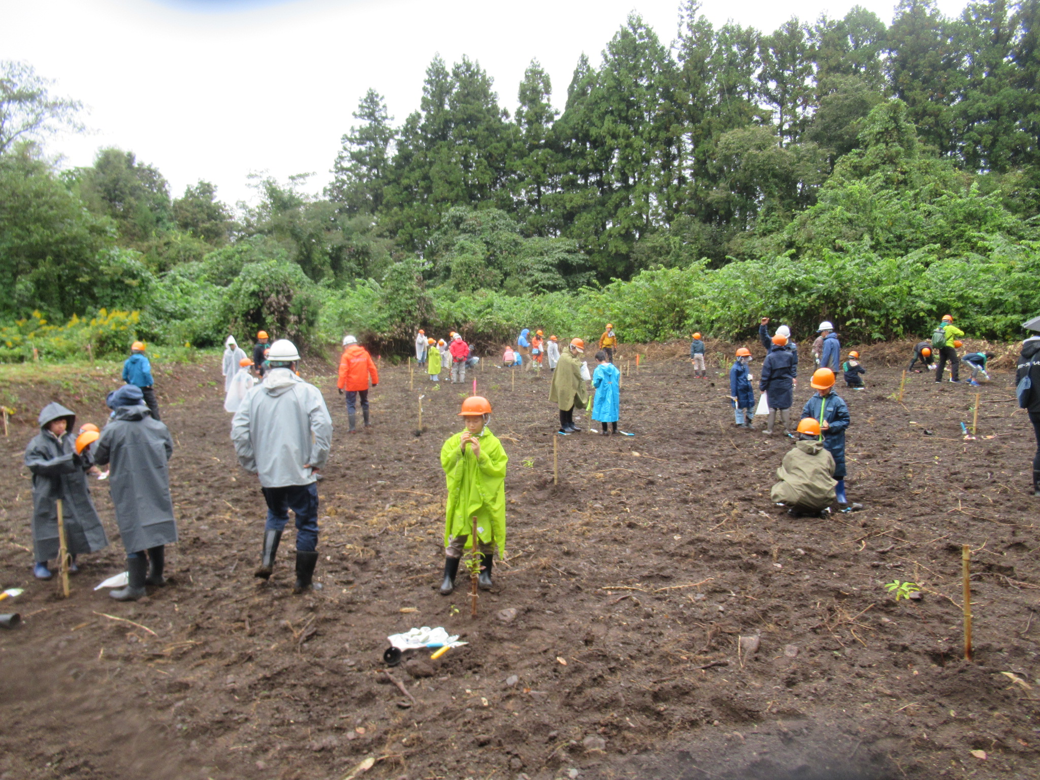 さけの森林づくり写真