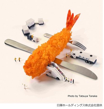 Fry to Fly Projectのイメージ写真