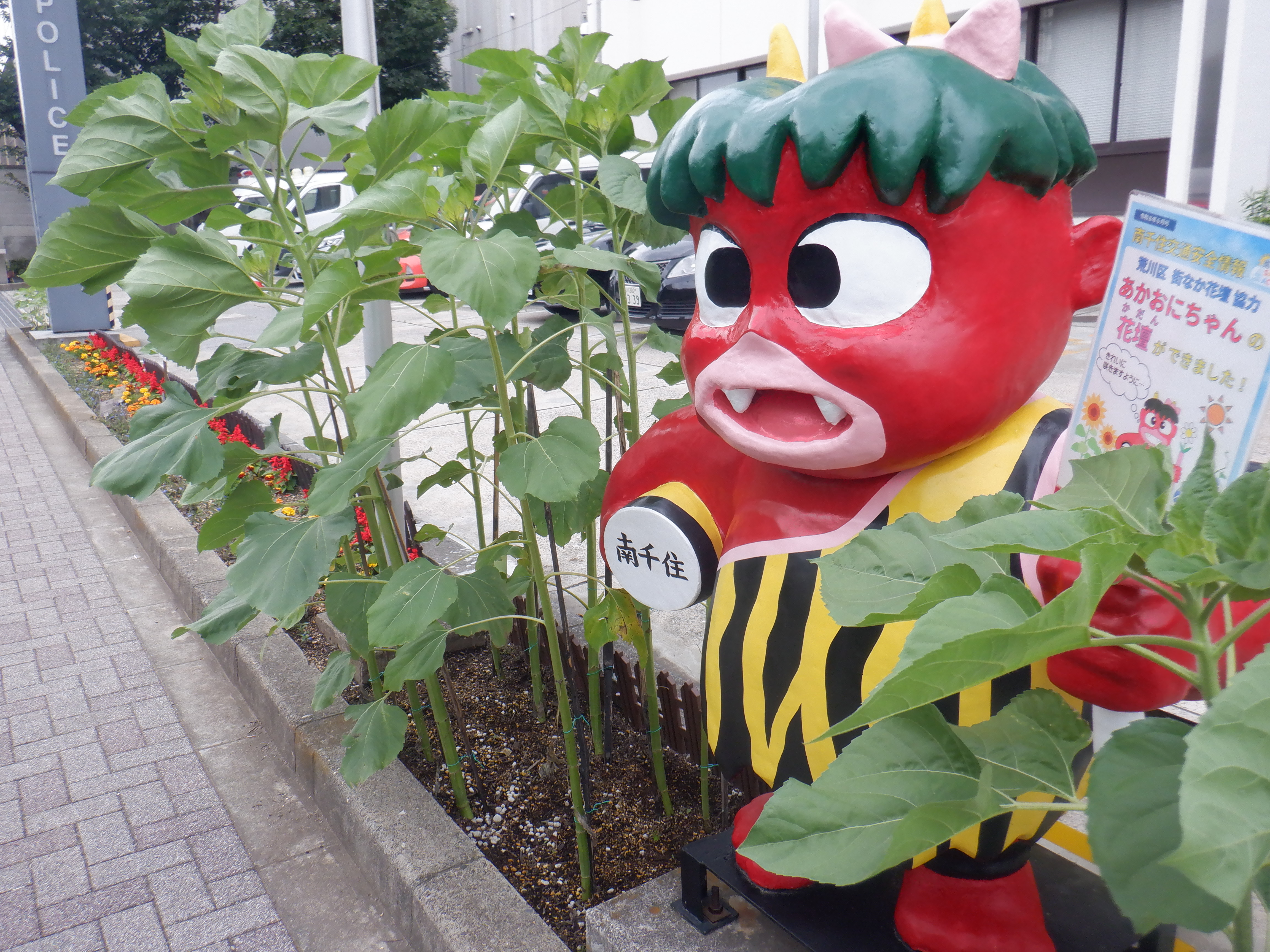 花壇の近影