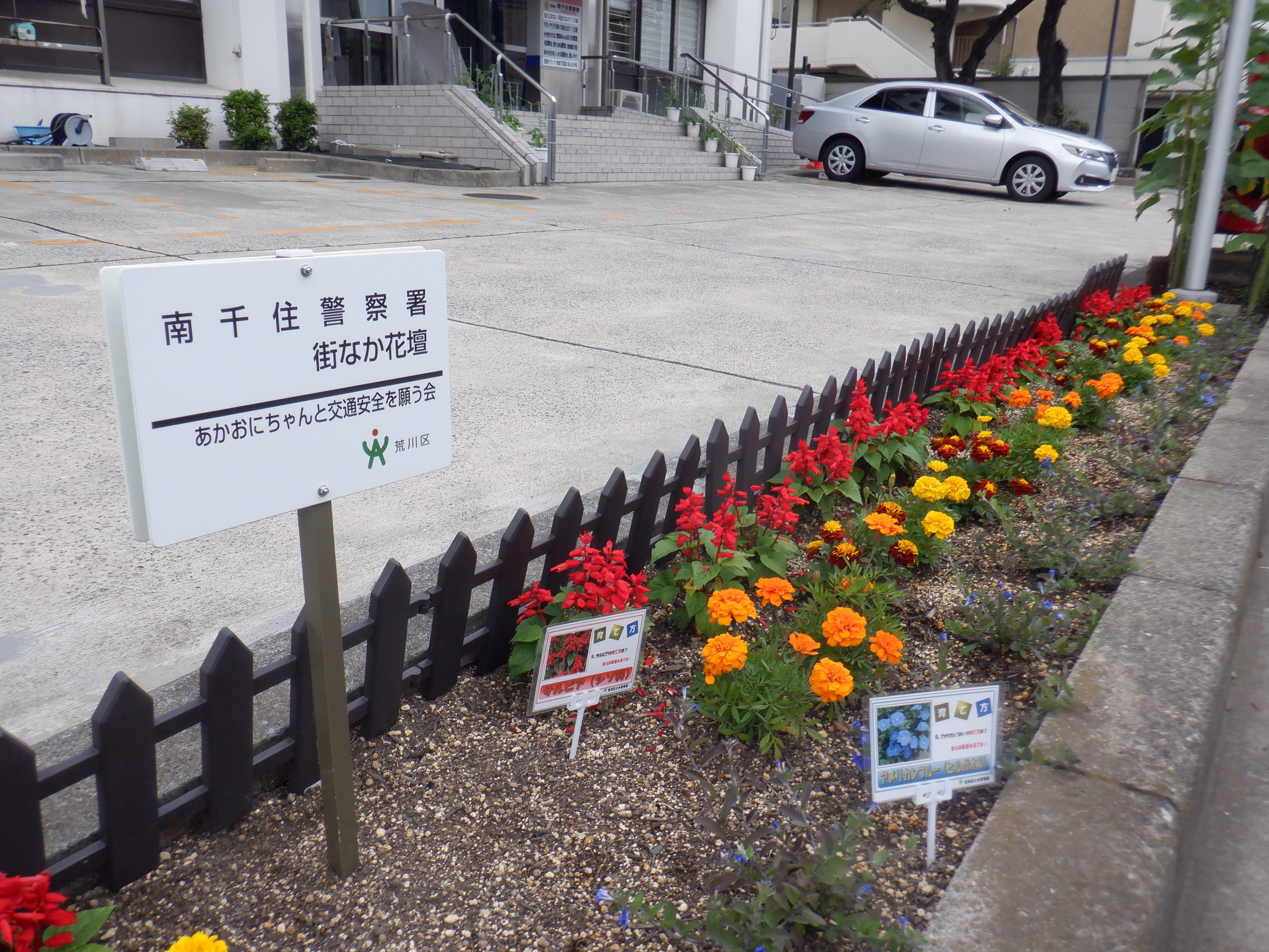 花壇の近影