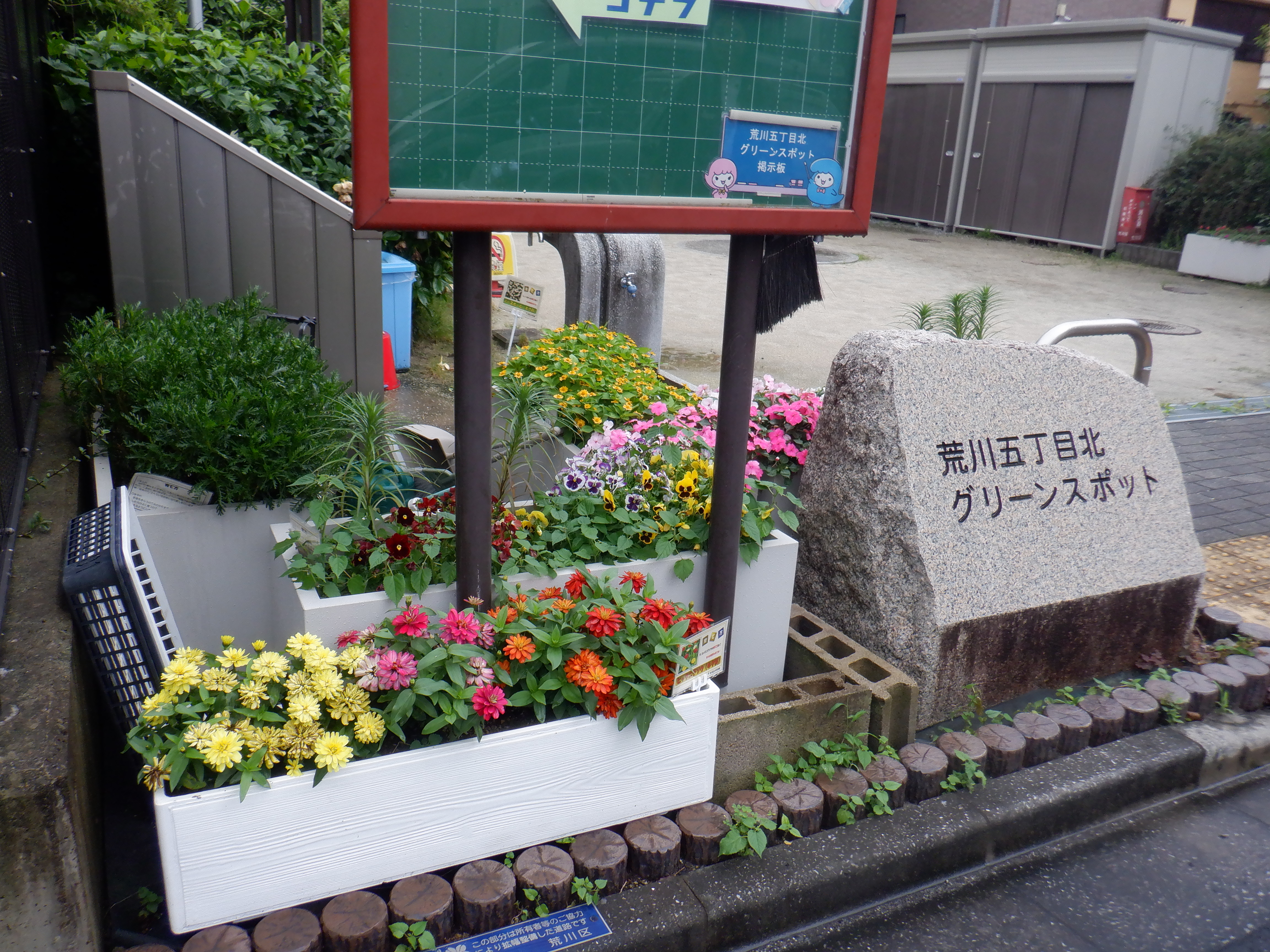 花壇の様子