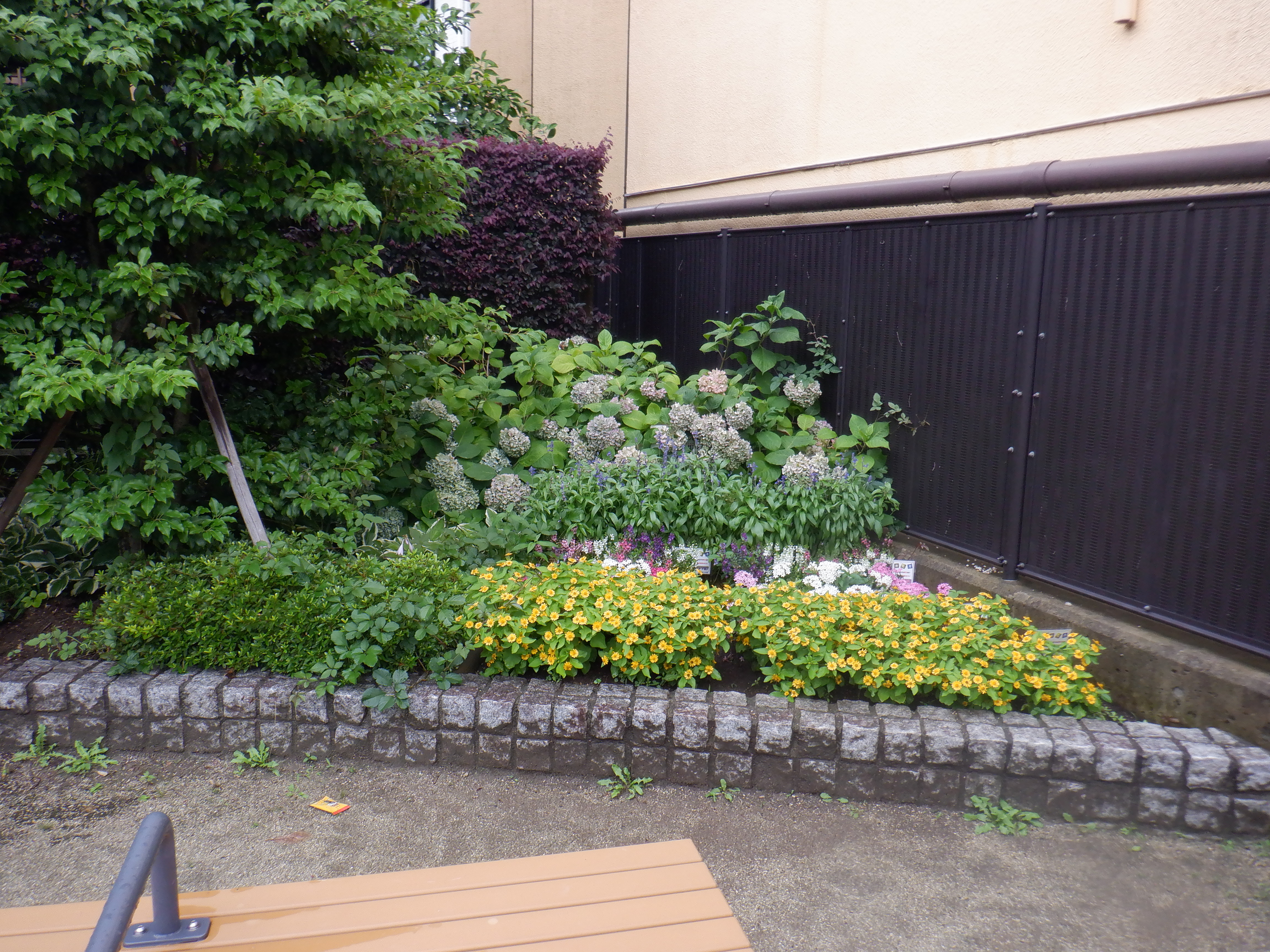 花壇の様子