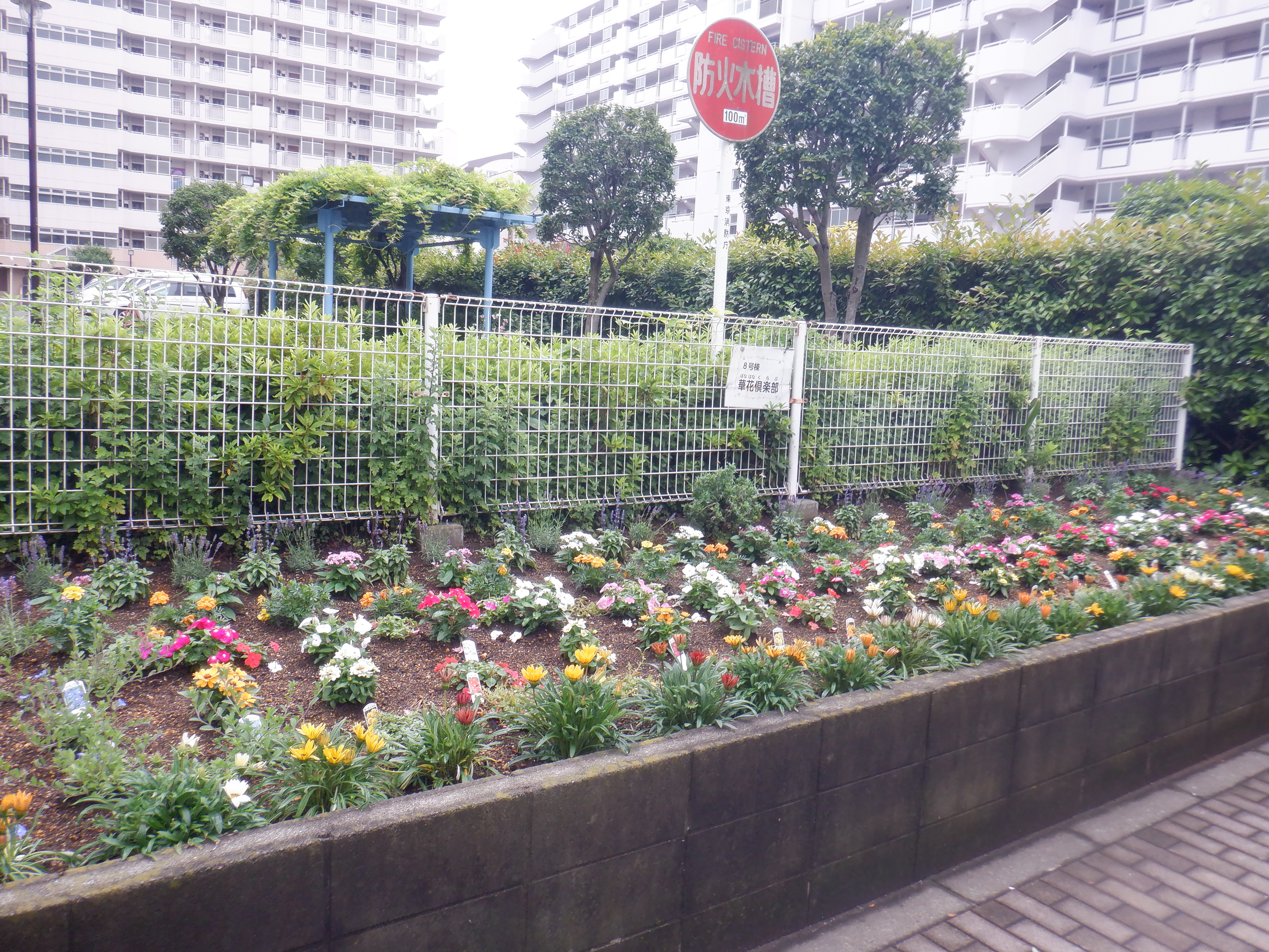 花壇の様子