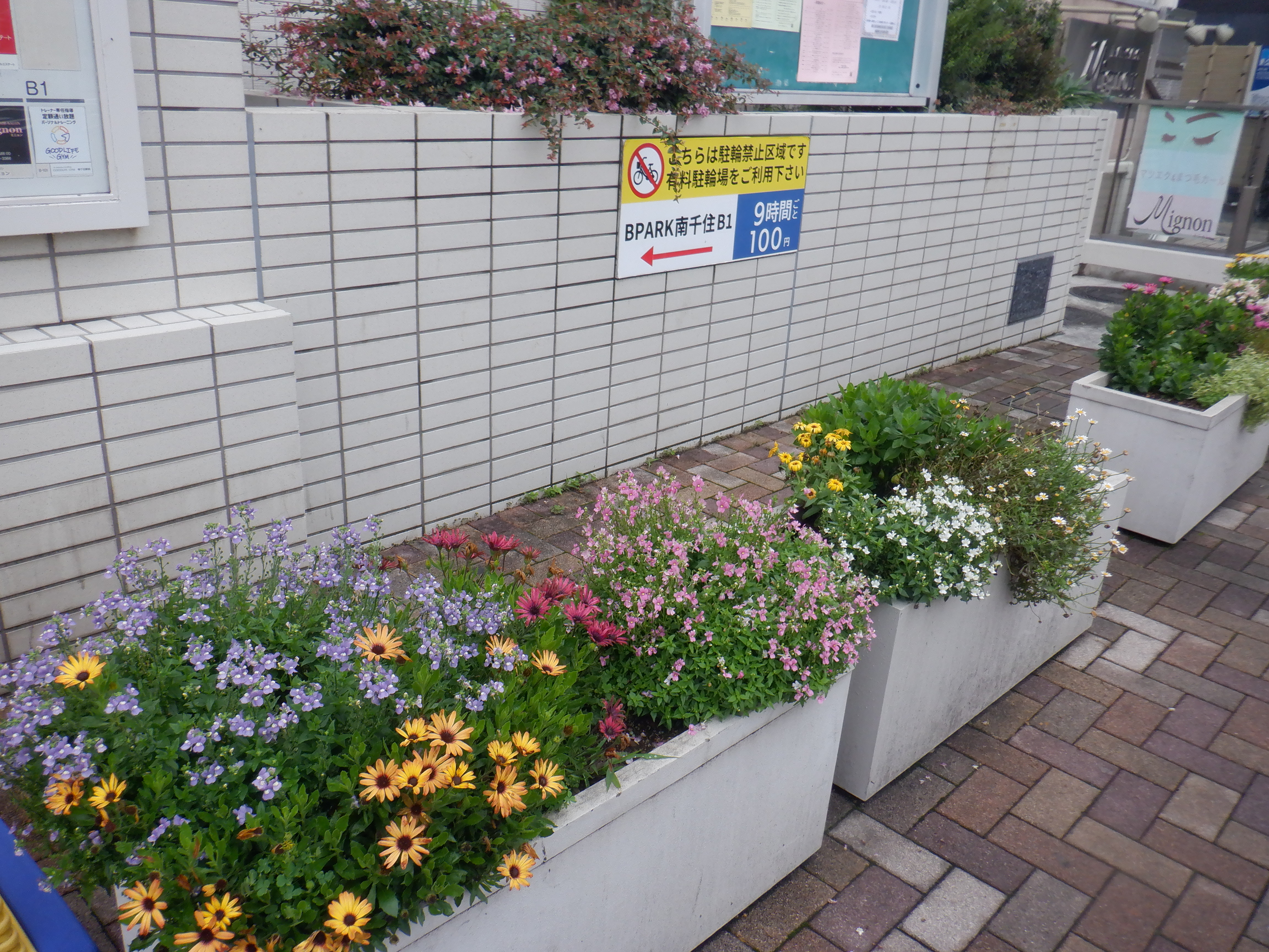 花壇の様子