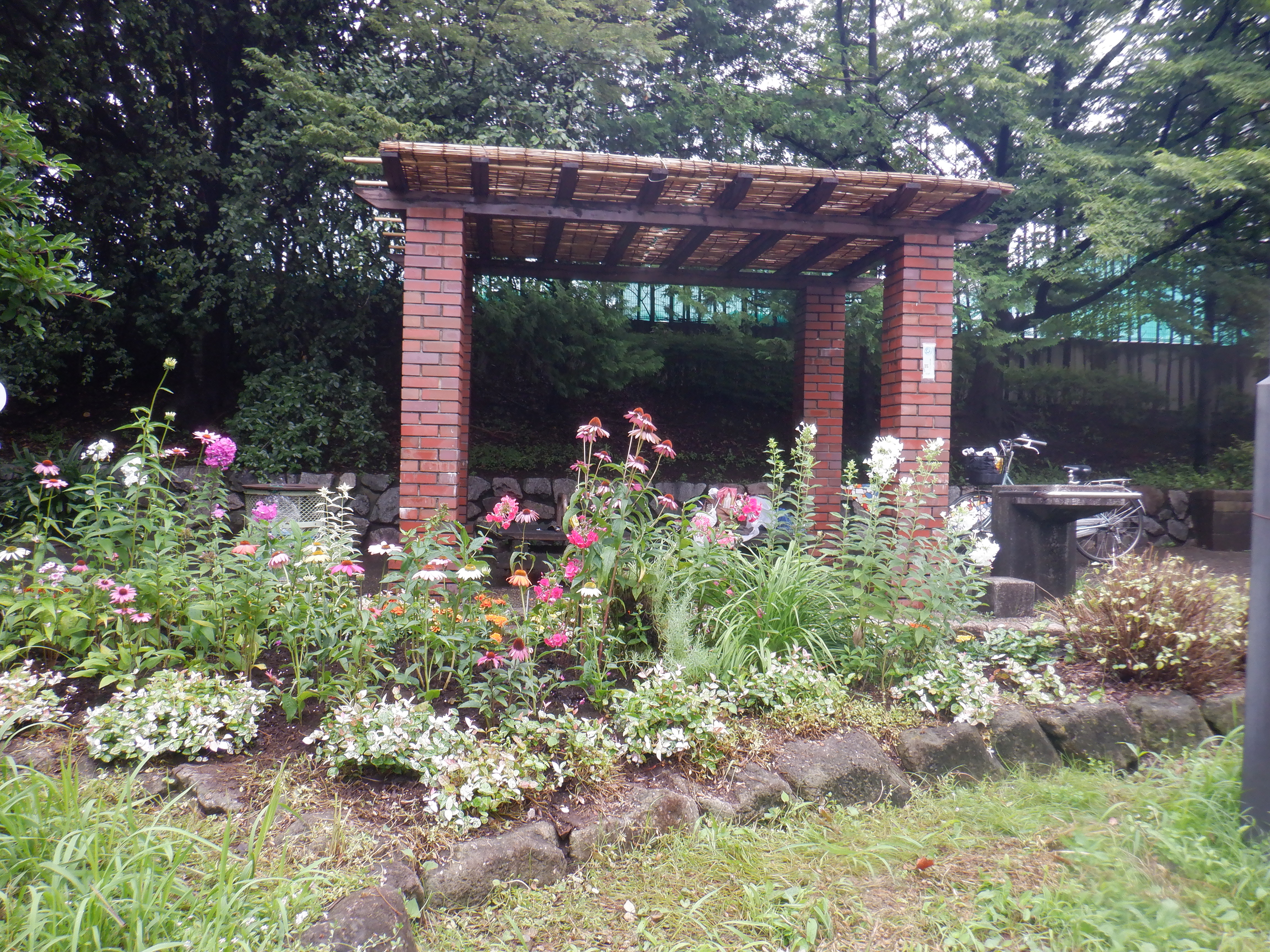 花壇の様子