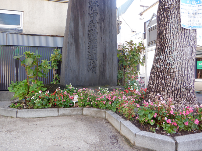 花壇の様子