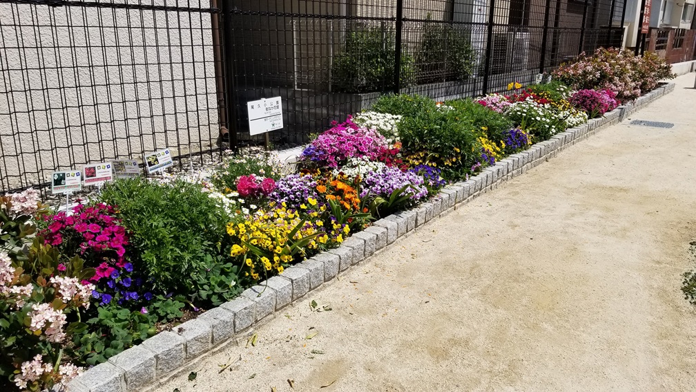 花壇の写真