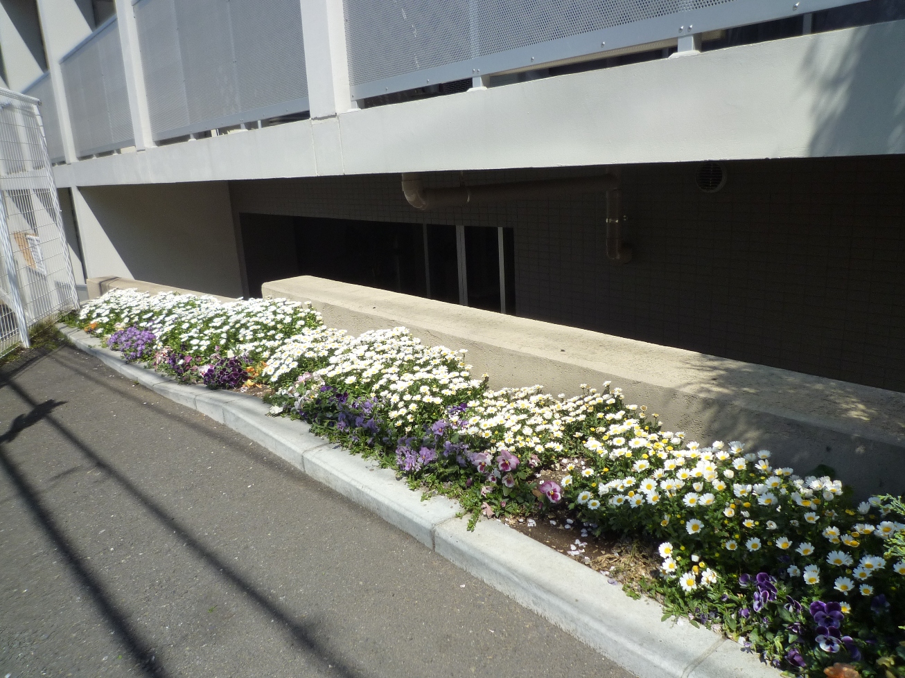 花壇の写真