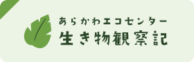 あらかわエコセンター生き物観察記