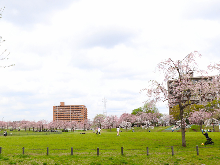 都立尾久の原公園