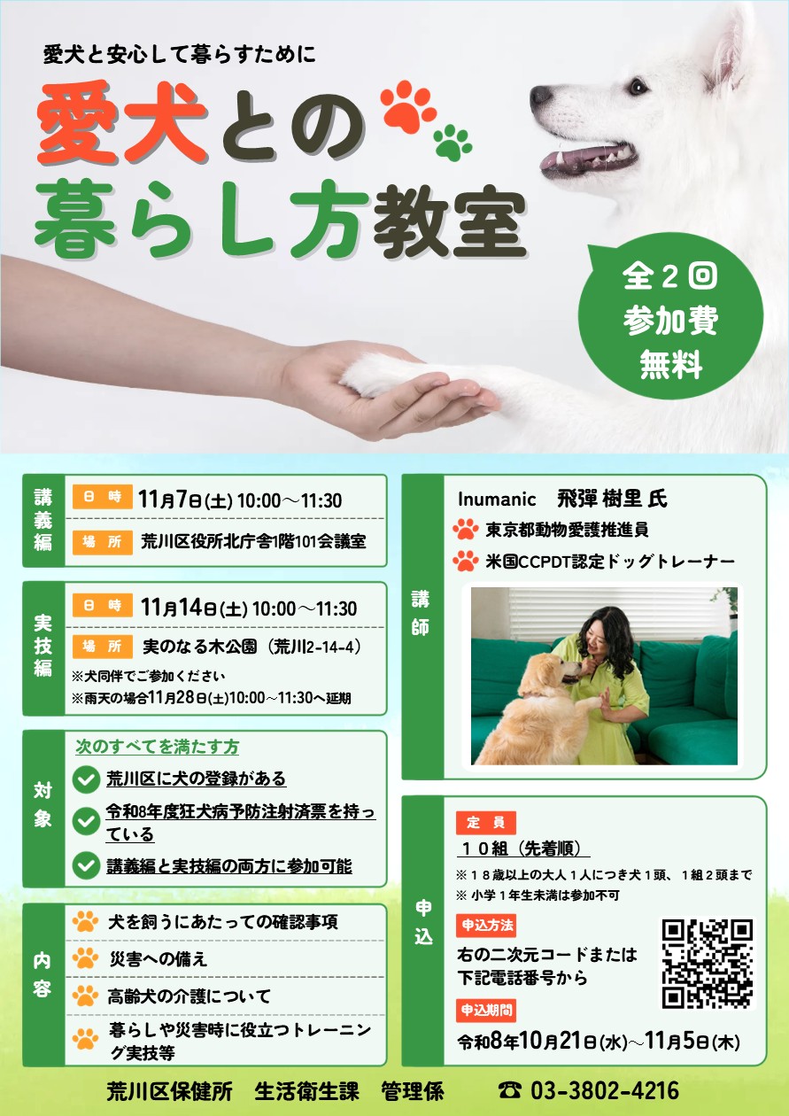 チラシ